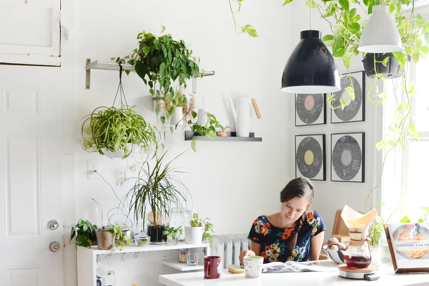 Best Low-Maintenance Plants for a Cookie and Coffee Nook